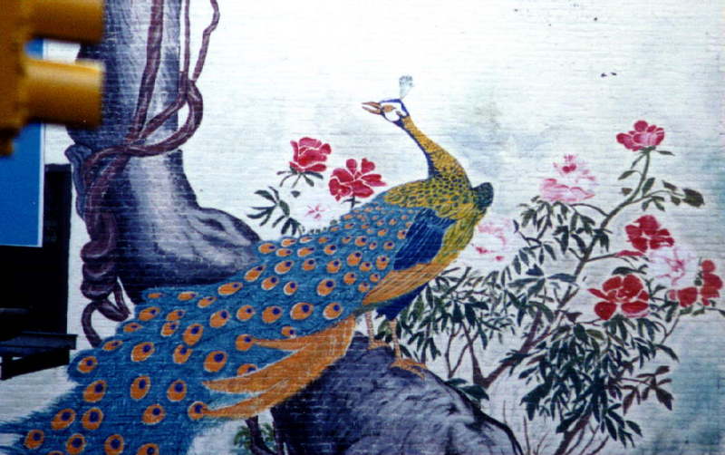 ChineseArt-Peacock-pavoreal-by Juan at Tifny.jpg