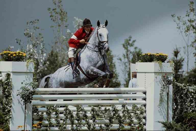 Dapple Gray Horse-Jumping01-by Trudie Waltman.jpg