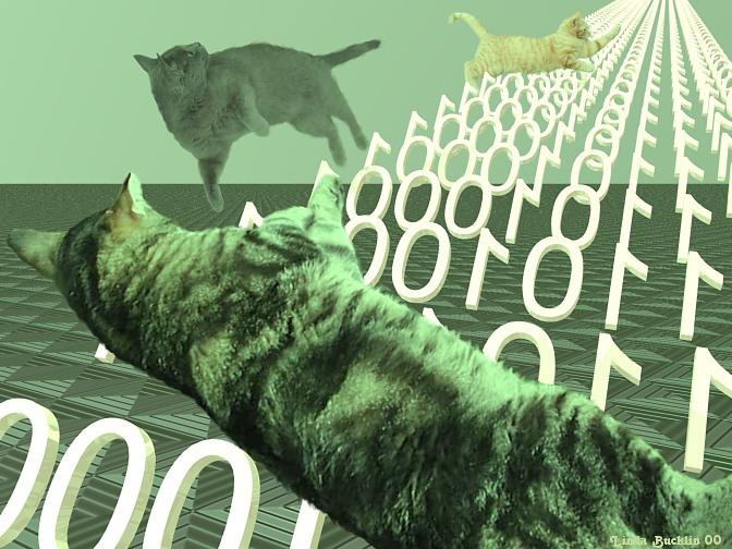 Data Stream back up-House Cats-by Linda Bucklin.jpg