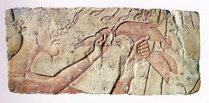 FineArt-Akhenaten-Domestic Duck-Ancient Egyptian wall painting.jpg