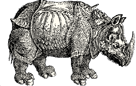 FineArt-AlbrechtDuerer-TheRhinoceros-srhino.gif
