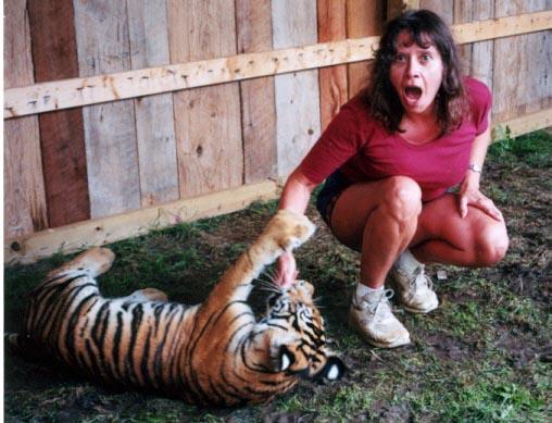 Tiger me 2-by Denise McQuillen.jpg