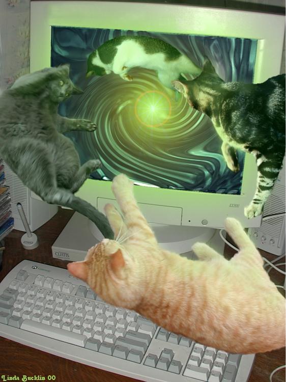 computer edit finish-House Cats-by Linda Bucklin.jpg