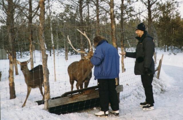 hiver2-Deer-by Thomas Collin.jpg