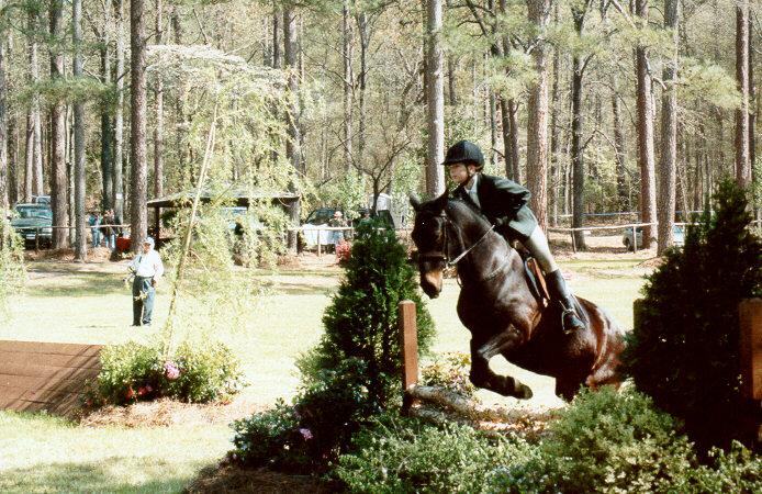 hs01-Horse Show-by S Thomas Lewis.jpg