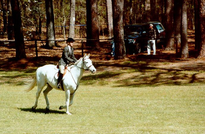 hs03-Horse Show-by S Thomas Lewis.jpg