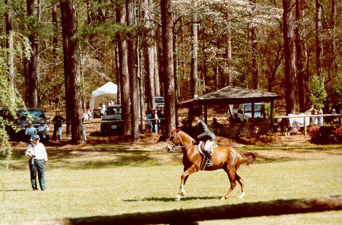 hs04-Horse Show-by S Thomas Lewis.jpg