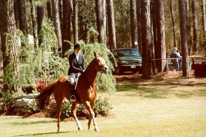 hs06-Horse Show-by S Thomas Lewis.jpg