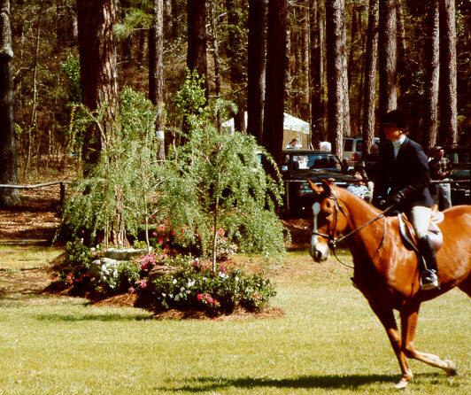 hs07-Horse Show-by S Thomas Lewis.jpg