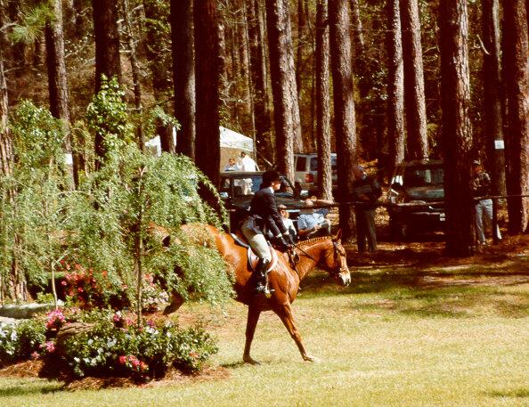 hs08-Horse Show-by S Thomas Lewis.jpg