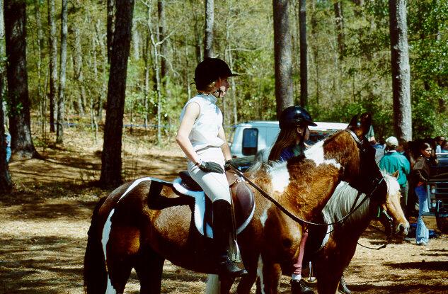 hs10-Horse Show-by S Thomas Lewis.jpg