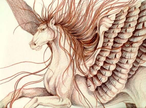 pride de-Winged horse-Pegasus-closeup-by Ralf Schmode.jpg