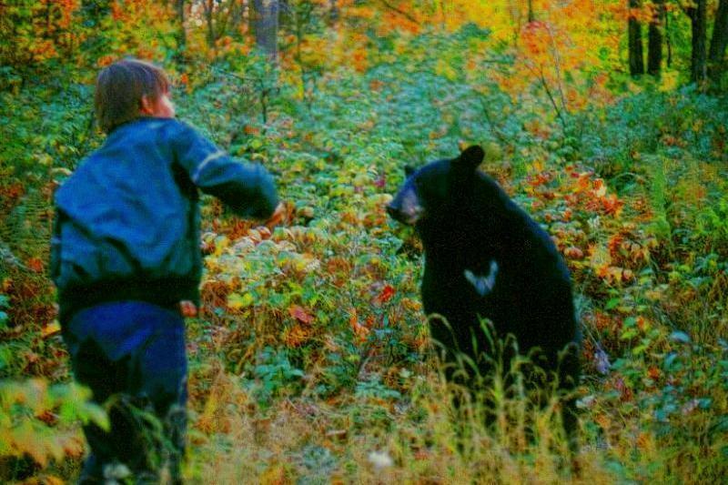 American Black Bear Being Fed 01-by Marv Harrison.jpg