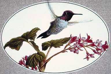 BirdPainting-Hummingbird-in flight above flowers.jpg