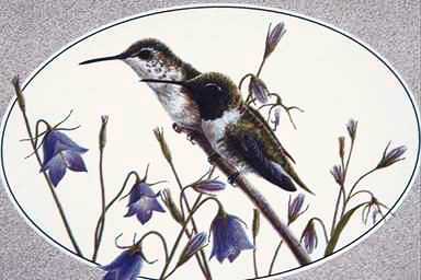 BirdPainting-Hummingbird1-pair perching on grass.jpg