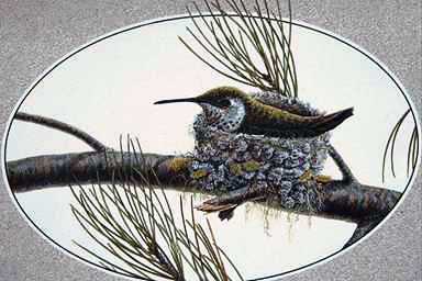 BirdPainting-Hummingbird3-incubating eggs in nest.jpg