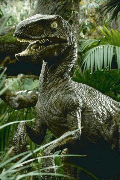 Dinosaurs Velociraptor-by Les Thurbon.jpg