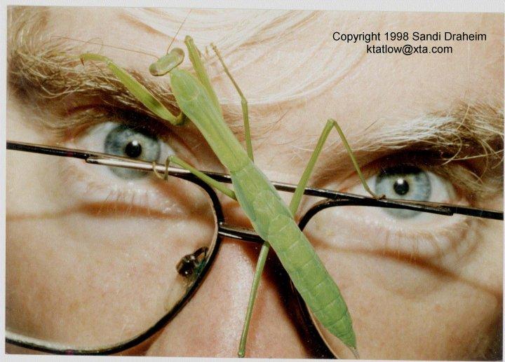 Mantid On Kerry-ktatlow@xta.com-Green Mantis on face-by Kerry Tatlow.jpg