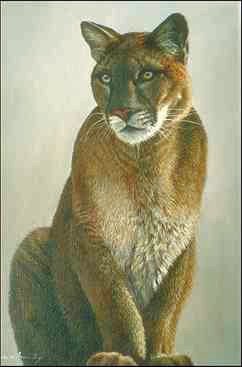 bild3-painting-Cougar-by 2catz.jpg