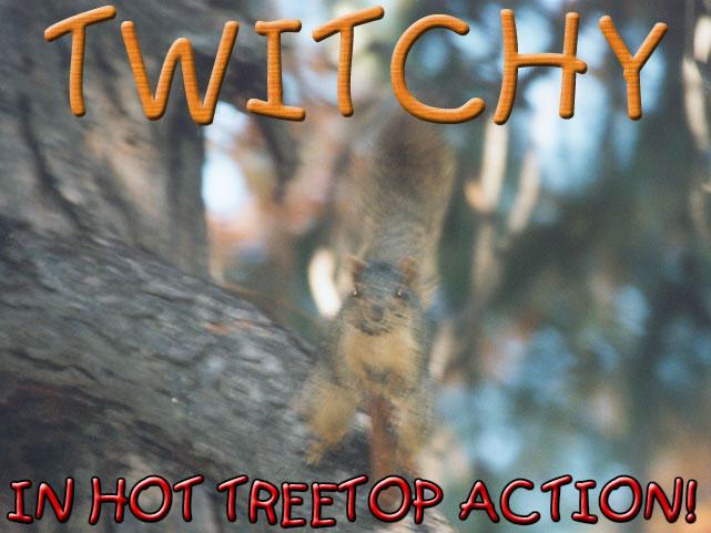 twitchy0-Fox Squirrel-by Gregg Elovich.jpg