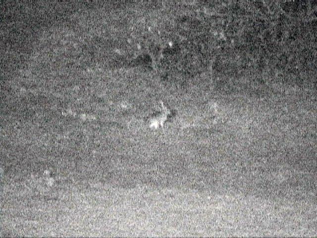 Dn-a1079-Unknown-by Darren New.jpg