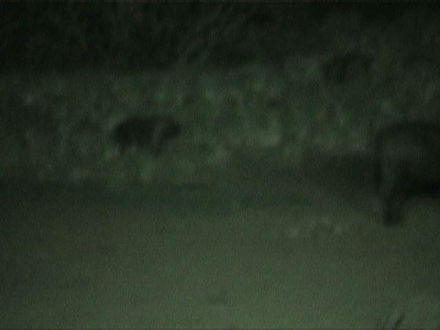 Dn-a1089-night-by Darren New.jpg