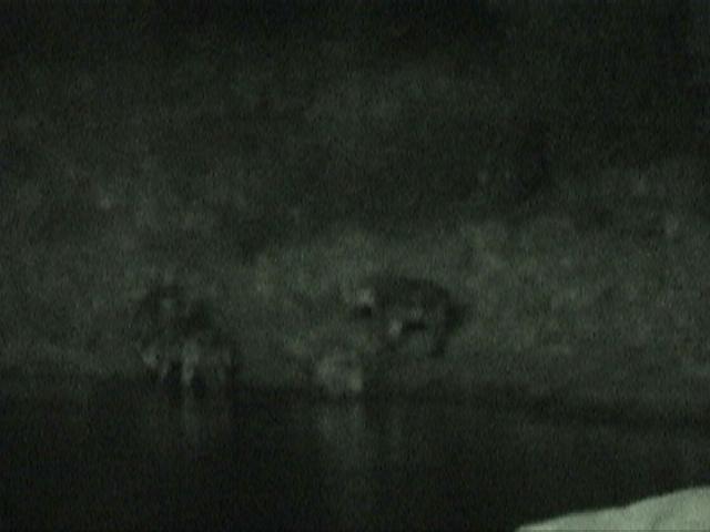 Dn-a1093-night-by Darren New.jpg