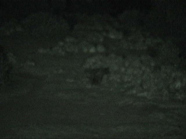 Dn-a1096-night-by Darren New.jpg