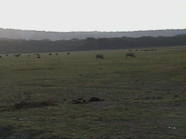 Dn-a1292-plain-by Darren New.jpg