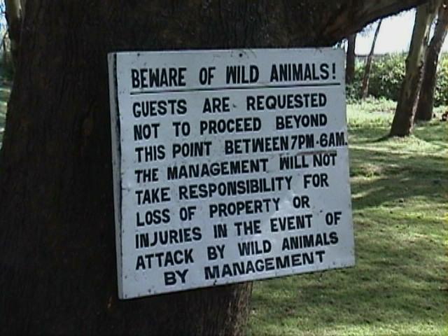 Dn-a1309-by Darren New.jpg