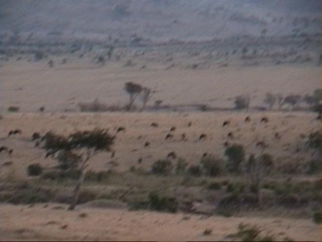 Dn-a1425-Plain-by Darren New.jpg