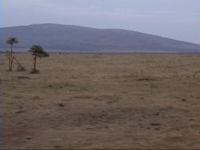 Dn-a1442-grass-by Darren New.jpg