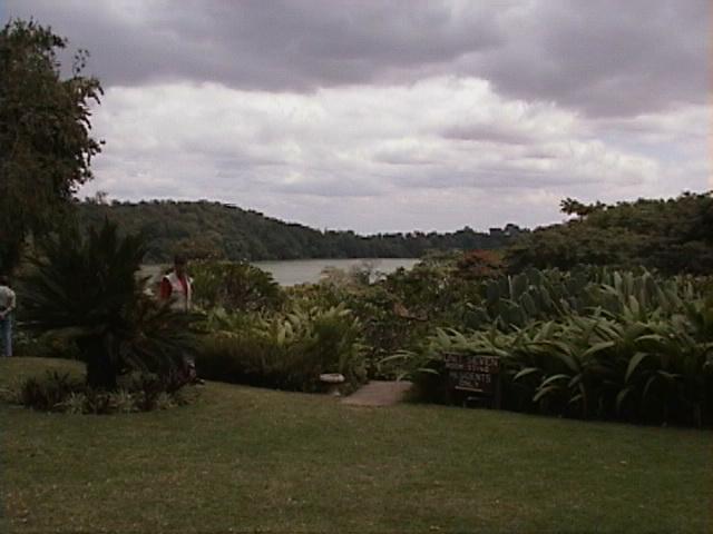 Dn-a1544-Garden-by Darren New.jpg