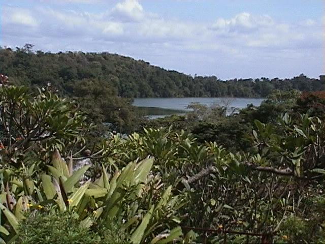 Dn-a1546-Garden-by Darren New.jpg