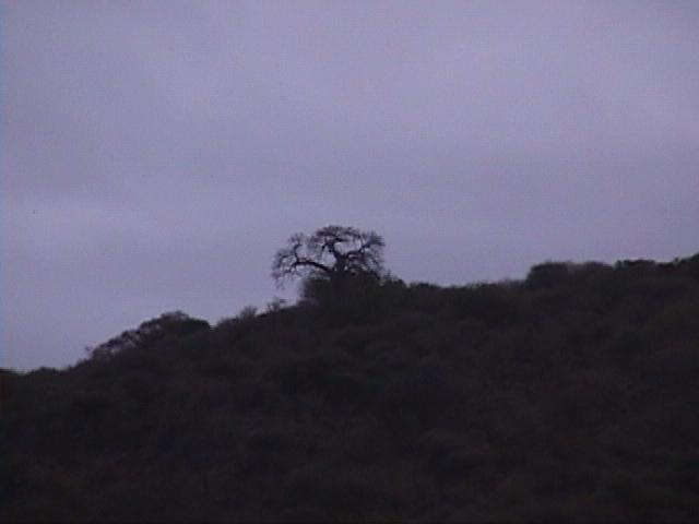 Dn-a1607-Landscape-by Darren New.jpg