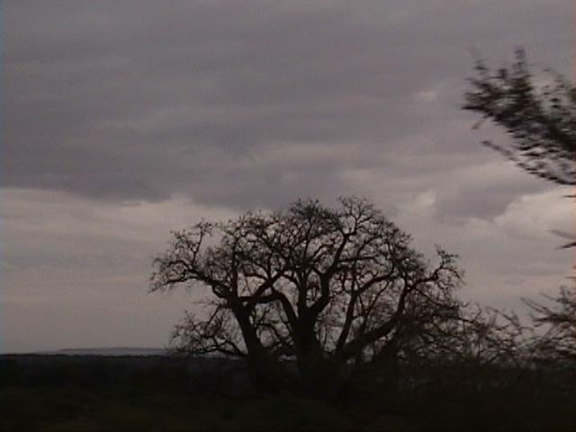 Dn-a1611-Landscape-by Darren New.jpg