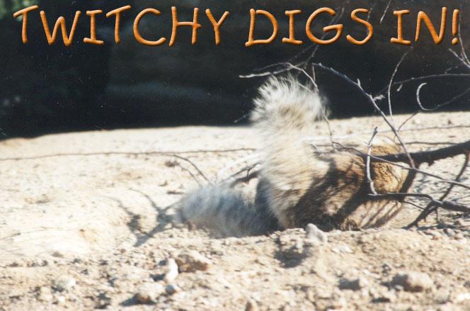 April twitchy2 2001-California Ground Squirrel-by Gregg Elovich.jpg