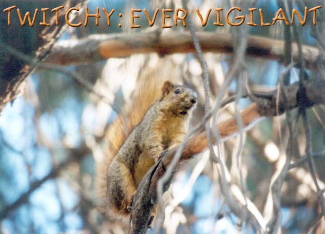Twitchy17 2001-Fox Squirrel-by Gregg Elovich.jpg