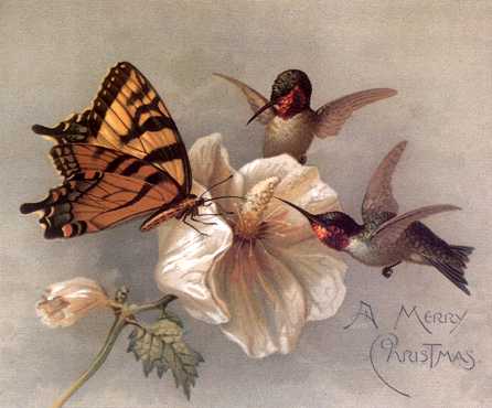 aci50276-SwallowtailButterfly n 2LuciferHummingbirds-Painting.jpg