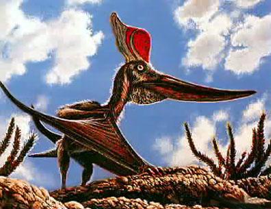 d2-FlyingDinosaur-Pteranodon-by Kostas Pantermalis.jpg