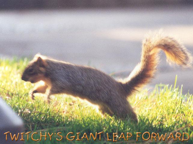 Twitchy16-Fox Squirrel-by Gregg Elovich.jpg